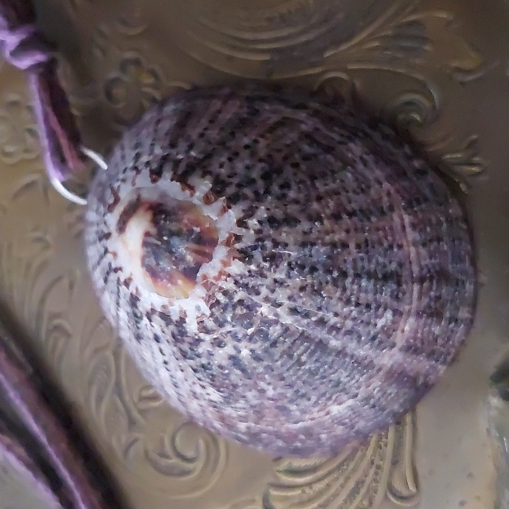 Hand Crafted Shell Necklace - Picture 2 of 6